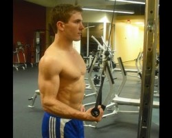 How To: Single-Arm Reverse Pulldown