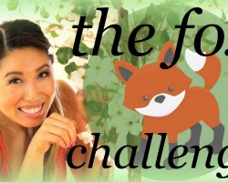 The Fox Challenge
