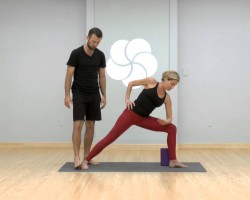 Yoga Detox by MyYogaWorks.com: Level 1- Full Body Flexibility