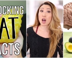 6 Shocking Facts about Fat