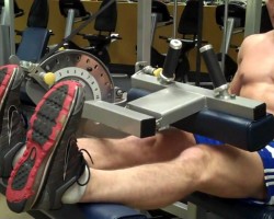 How To: Seated Leg Curl (Cybex)