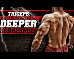 Triceps: One Tip To Sculpt A DEEPER Horseshoe!